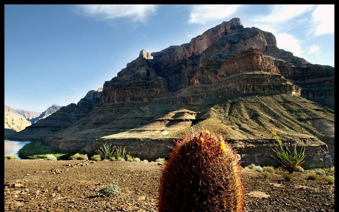 Zelfs op de toppen van de hoogste bergen, zoals in de Grand Canyon, zijn fossielen van zeedieren te vinden. Volgens de auteurs van het boek ”Hoe bestaat het!” is er een overvloed aan bewijs voor de zondvloed als een wereldwijde watersnoodramp. Foto RD, He