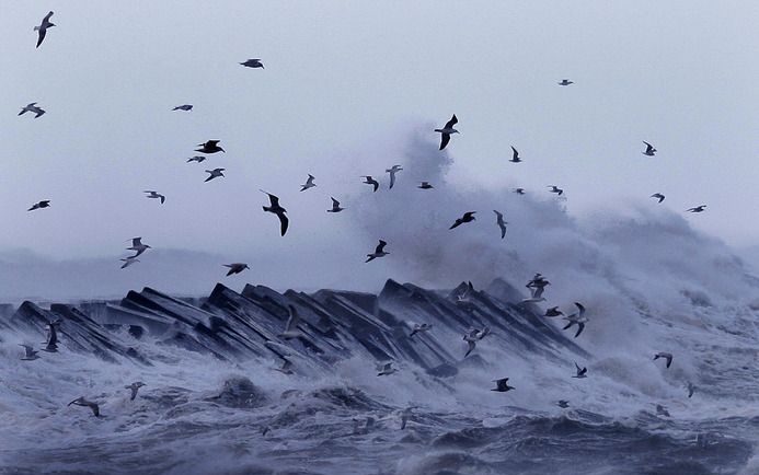 Stukje Noordzee. Foto ANP