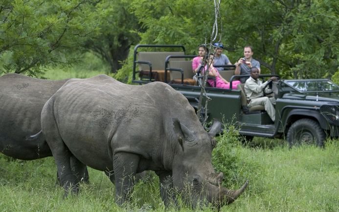 KAMPALA – Veel natuurparken die jaarlijks hordes toeristen trekken, werden ooit bewoond door groepen Afrikanen die van hun geboortegrond verdreven zijn. - Foto EPA