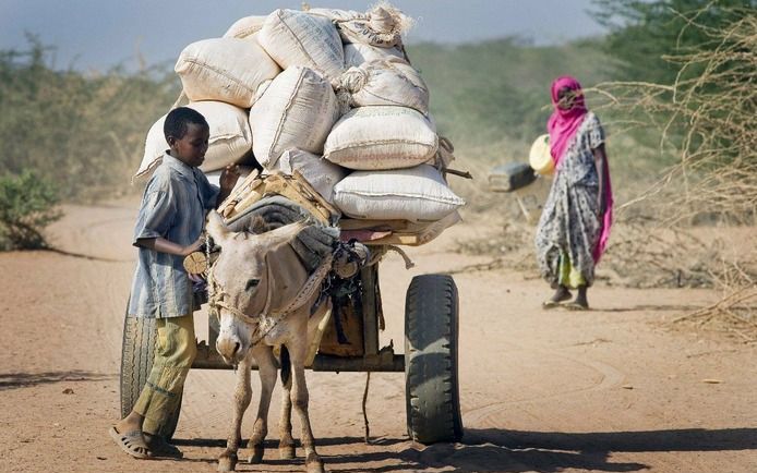 NAIROBI – De helft van de inwoners van het Oost–Afrikaanse land Somalië heeft humanitaire hulp nodig. Zonder steun van buitenaf zouden 3,7 miljoen mensen het niet redden, blijkt uit een studie die dinsdag naar buiten is gebracht. Foto EPA