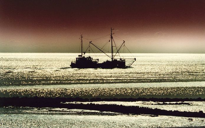 Kokkelvissers vechten de weigering aan van drie kokkelvisvergunningen voor de Oosterschelde. Foto ANP