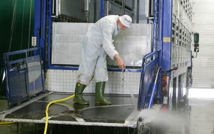 Veewagens die ongeladen uit Litouwen komen, moeten extra worden schoongemaakt en ontsmet. Foto ANP