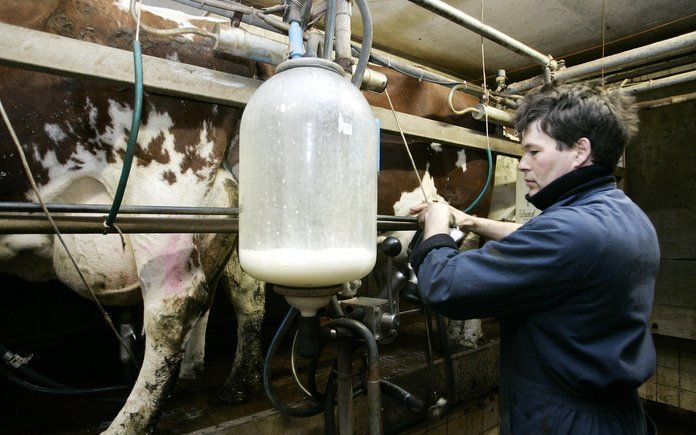 DEN HAAG - Als het aan het kabinet ligt, kunnen boeren de komende jaren meer melk gaan produceren. In 2008 zouden de melkquota al met 2 à 3 procent omhoog kunnen. Foto ANP