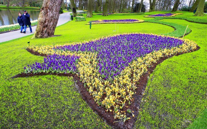 LISSE - De Keukenhof in Lisse. Prins Willem—Alexander opent de Keukenhof woensdagmiddag samen met de Chinese ambassadeur. Foto ANP