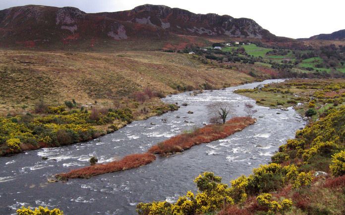 In Ierland zijn decennialang duizenden jongens en meisjes geterroriseerd. Foto ANP