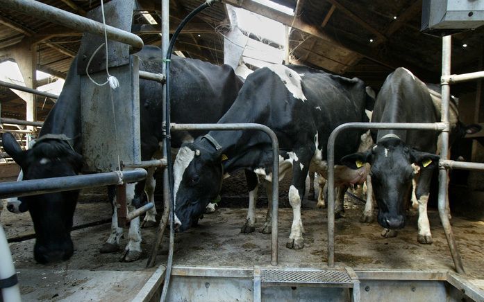 „De minister wil financieel onafhankelijke boeren. Dat willen ze zelf ook! Ze willen duurzaam produceren als daar een reële opbrengstprijs en een goede afzet tegenover staan.” Foto RD, Anton Dommerholt