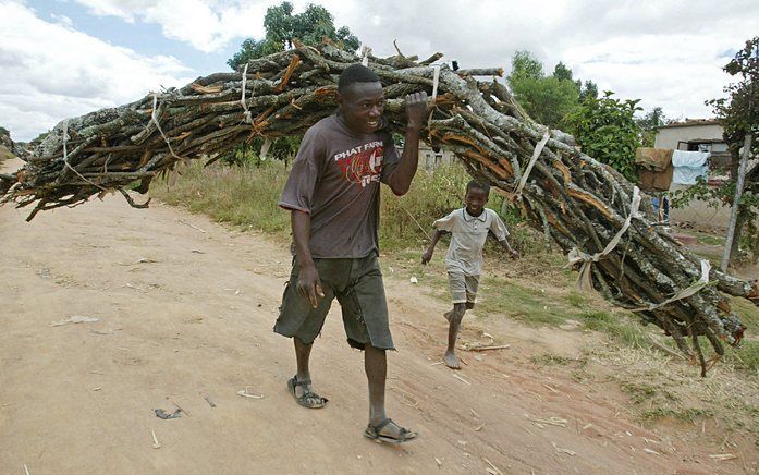 Mugabe wil voorkomen dat landerijen opnieuw in handen van de voormalige blanke kolonisatoren komen. Foto EPA