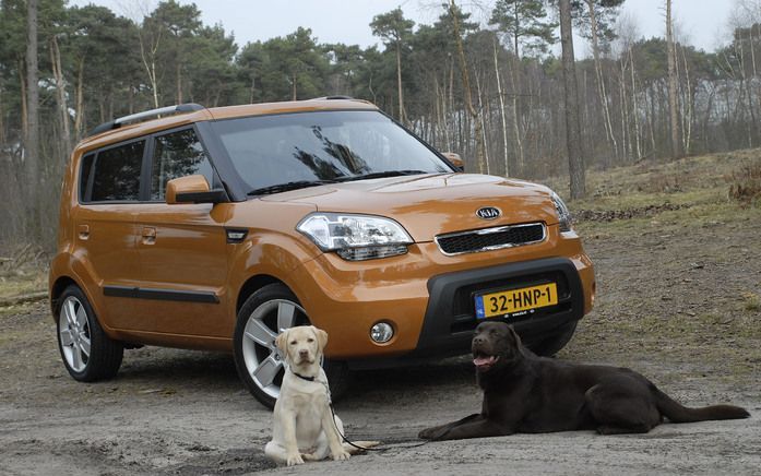 Een behoorlijke dosis originaliteit kan de nieuwe Kia Soul niet ontzegd worden. Foto’s Tony Vos