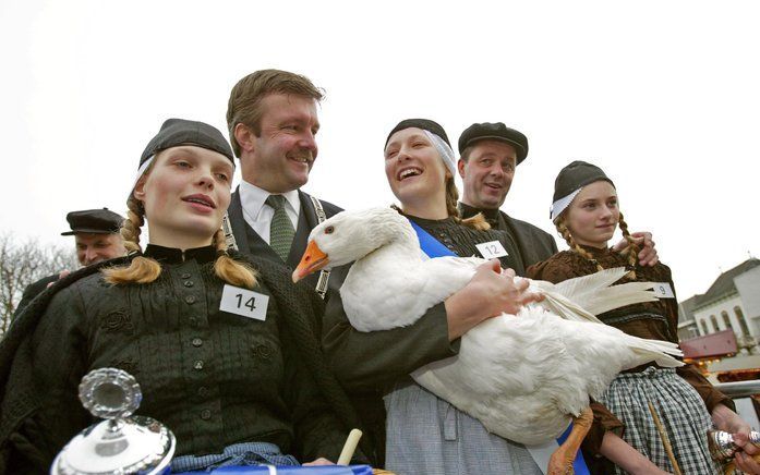 EU kijkt of plukken van ganzenveren in strijd is met de regels voor dierenwelzijn. foto ANP