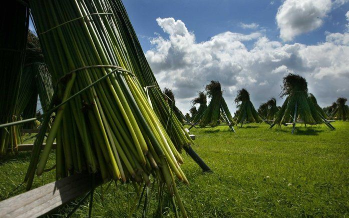 Cruciale verbindingswegen waar-op nu nog 80 kilometer per uur is toegestaan, worden mogelijk erf-ontsluitingswegen, waar slechts 60 kilometer per uur mag worden gereden. Foto ANP