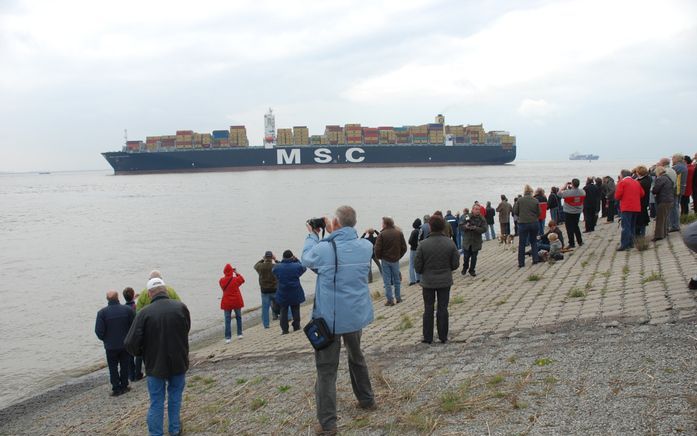 RILLAND – De MSC Beatrice, het grootste containerschip ter wereld, wurmt zich door het Nauw van Bath. Vanaf de dijk bij Rilland sloegen gisteren tientallen belangstellenden het manoevreren met het enorme vaartuig gade. De MSC Beatrice is het grootste schi