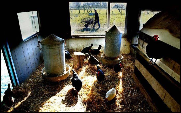 WAGENINGEN – Het aantal zorgboerderijen blijft toenemen. Inmiddels telt Nederland er bijna duizend. Met een groei van 75 boerderijen in 1998 tot 944 vorig jaar hebben ze de afgelopen tien jaar een enorme vlucht genomen, liet de Verenigde Zorgboeren maanda