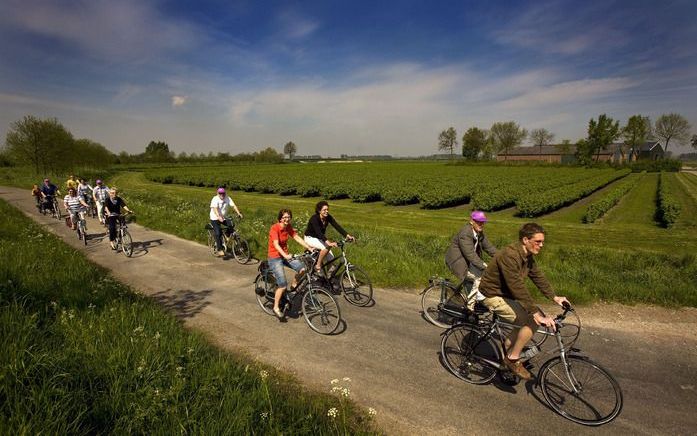 Jaarlijkse elfstedenrijwieltocht trekt 13.500 fietsers. Foto ANP