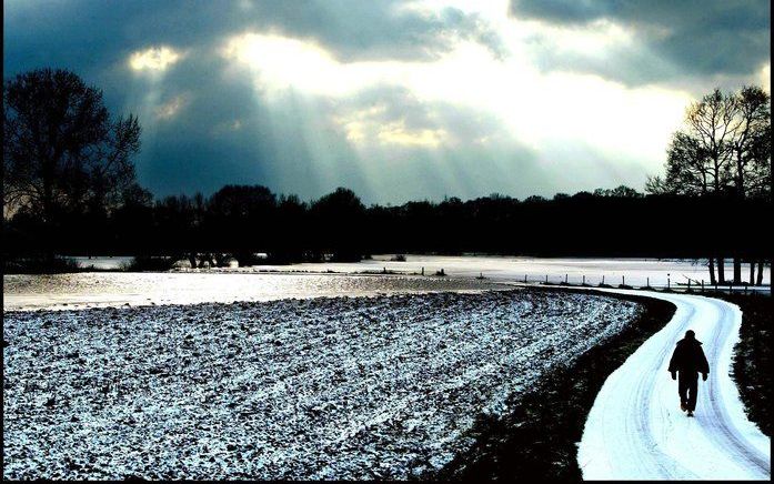 BRUMMEN - Landschap in Gelderland. - Foto ANP