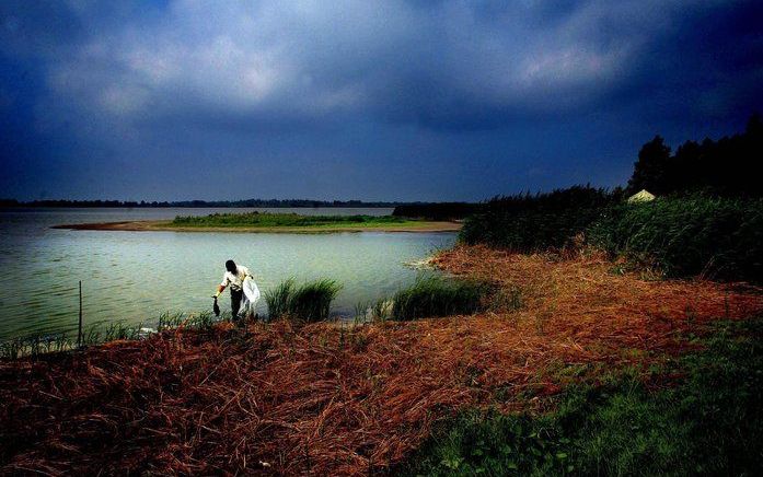 DEN HAAG – Het vliegveld Lelystad mag uitbreiden, maar het natuurgebied Oostvaardersplassen zal moeten worden ontzien. Foto ANP