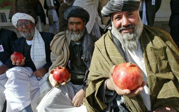 Afghaanse boeren. Een meerderheid van de Afghanen ziet armoede als belangrijkste oorzaak van conflicten in hun land. Foto EPA