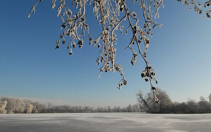 SCHOONREWOERD – De aanleg van een wandelpad van Schoonrewoerd naar de Wiel van Bassa staat op losse schroeven. SGP-raadslid De Bruijn probeert het project te redden. Foto Idde Lammers