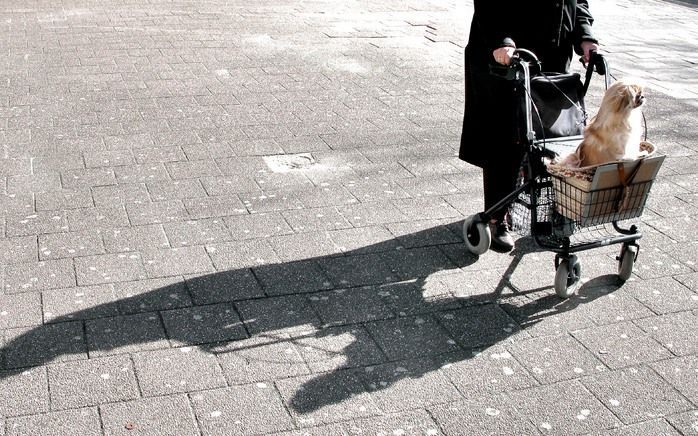 Het autobiografische geheugen groeit samen met ons op. Het is onze intiemste metgezel. Het is het register dat we raadplegen als iemand ons vraagt wat onze vroegste herinnering is, hoe het huis eruitzag waar we als kind hebben gewoond of wat het laatste b