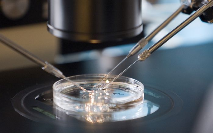 Patiëntenvereniging pleit voor ivf–verlofregeling Foto EPA