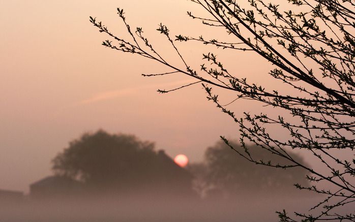 Uw zon verrijst en schenkt aan allen licht. Foto ANP