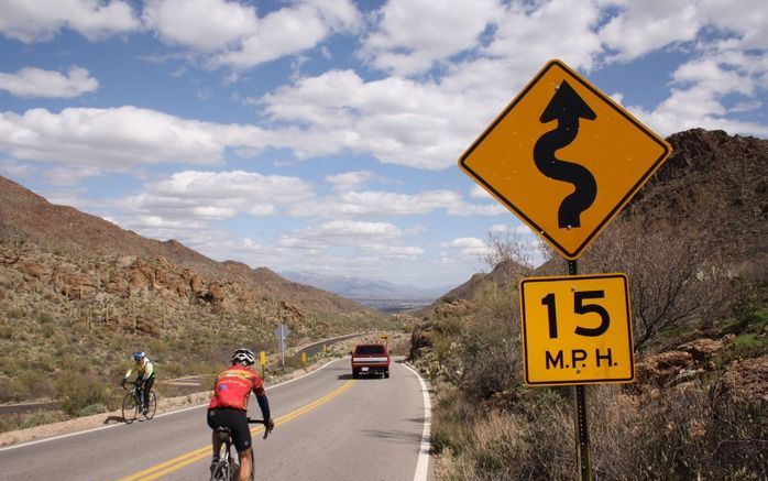 TUCSON – Wielrenners maken dankbaar gebruik van de steile wegen in het Tucson Mountain Park. Links en rechts van de weg staat het landschap vol met karakteristieke cactussen. Op de achtergrond de stad Tucson. Foto Riekelt Pasterkamp