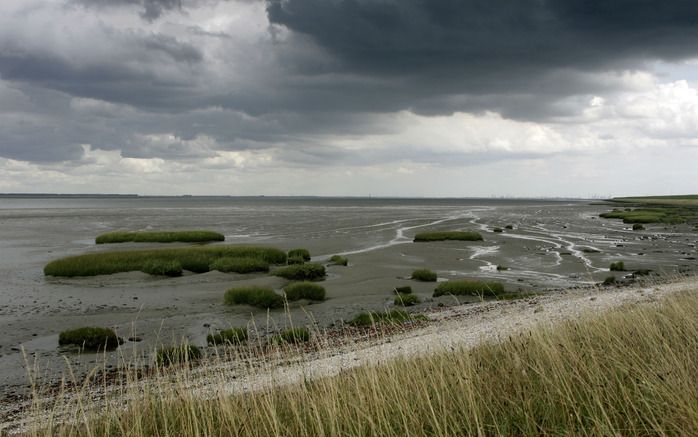 DEN HAAG - Een natuurgebied in Zeeland. Foto ANP