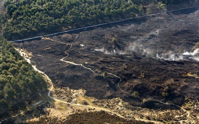 BERGEN AAN ZEE - De brand die een groot deel van de Schoorlse duinen verwoestte, is volgens natuurkenners verschrikkelijk voor de flora en fauna in het gebied. Foto ANP