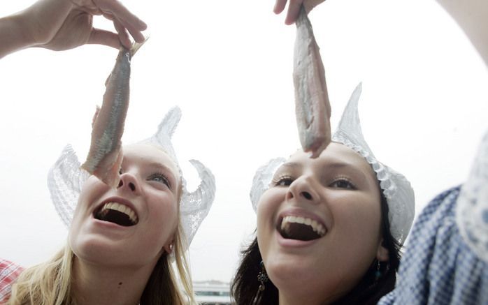 In 2008 mogen Nederlandse vissers minder haring vangen in de Noordzee. Foto ANP.