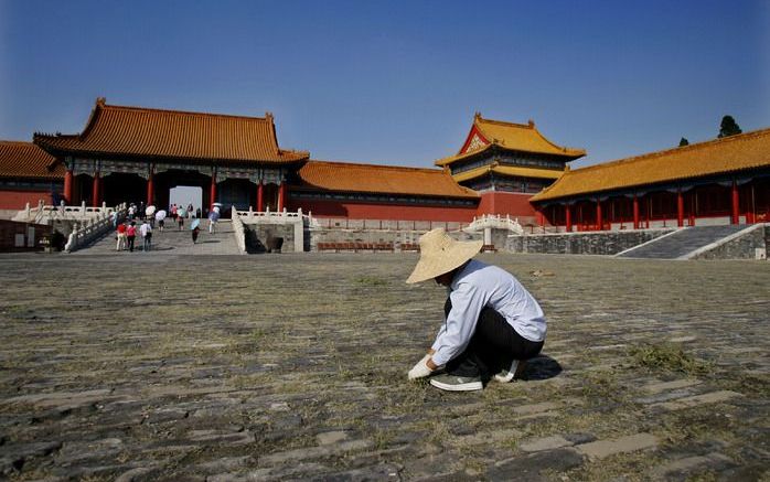 PEKING (ANP) – De internationale luchthaven van de Chinese hoofdstad Peking heeft een derde terminal geopend, ’s werelds grootste. Het eerste vliegtuig kwam vrijdag aan bij het enorme gebouw. Het ging om een binnenlandse vlucht uit Jinan, meldde het Chine