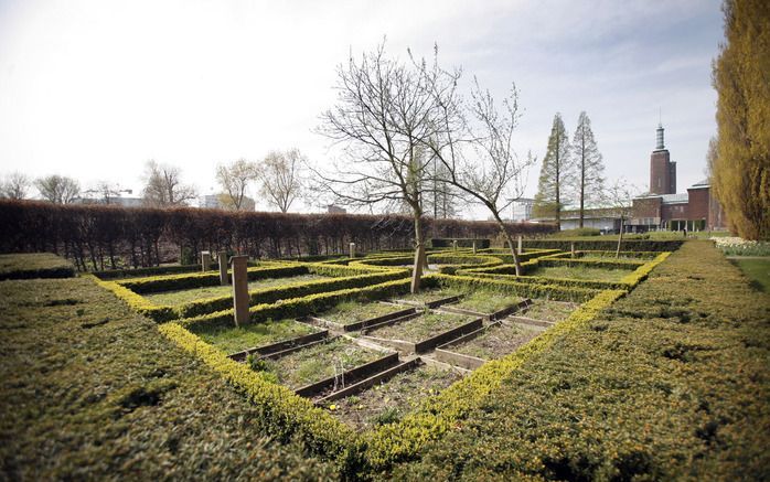 ROTTERDAM – De Bijbeltuin in het Rotterdamse Museumpark ligt er verwaarloosd bij. De ChristenUnie/SGP fractie in de Rotterdamse raad betreurt het dat de gemeente zich niet heeft ingezet de Bijbeltuin van de ondergang te redden. Plannen van het college om 