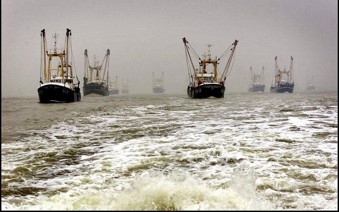 DEN HAAG - Vissers en natuurbeschermers hebben donderdag afgesproken elkaar te helpen bij het duurzamer maken van de visserij. Het Wereld Natuur Fonds (WNF) juicht het toe dat de kottersector wil verduurzamen. Foto ANP