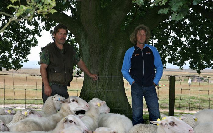 Aart (l.) en Henk van den Brandhof, beiden schaapherder. Aart: „Als je mij m’n zin zou geven, zou ik meteen naar Schotland gaan. Prachtig, die wildernis, dat weidse.” Henk: „Ik zou dat dus niet willen. Ik zou heimwee krijgen.” Foto RD, Anton Dommerholt