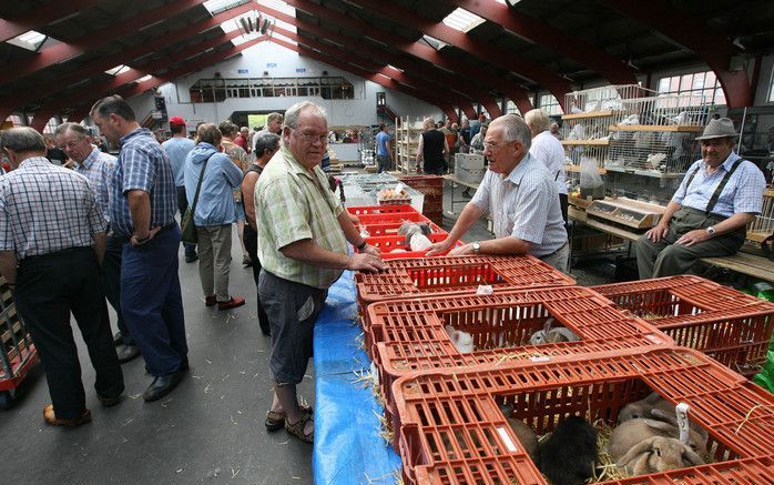 De gemiddelde leeftijd van bezoekers van de Barneveldse kleindierenmarkt ligt niet onder de dertig jaar. Foto's RD, Anton Dommerholt