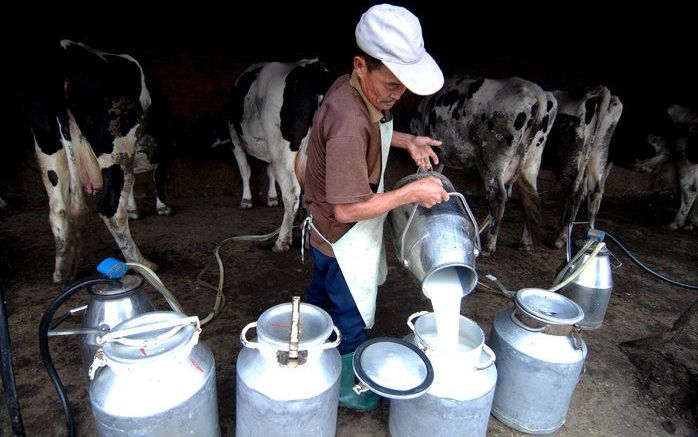 PEKING – Zuivelboeren en managers van melkinzamelstations in China worden ervan verdacht melamine te hebben toegevoegd aan verdunde melk. Tal van experts zetten vraagtekens bij deze beschuldiging. Voor de kleine veehouders betekent het schandaal een ramp.