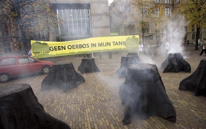 De eerste lading duurzame palmolie is nog onderweg naar Rotterdam, maar over de duurzaamheid ervan zijn dinsdag vragen gerezen. Foto ANP