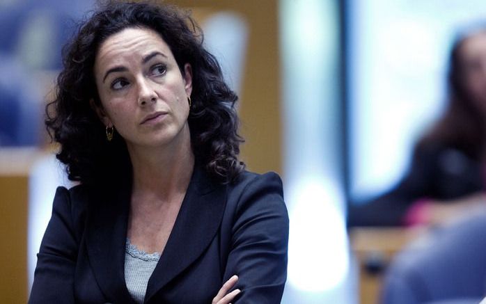 De Eerste Kamer aanvaardde vanmiddag met 37 tegen 36 stemmen het initiatiefwetvoorstel van GroenLinks-Kamerlid Halsema om rechters de bevoegdheid te geven wetten te toetsen aan de Grondwet. Foto ANP