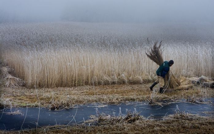 DEN HAAG – Provincies moeten sneller natuurgronden aankopen, anders wordt de realisatie van de Ecologische Hoofdstructuur in 2018 niet gehaald. Dat maakte directeur Jan Jaap de Graeff van Natuurmonumenten gisteren bekend. Foto ANP