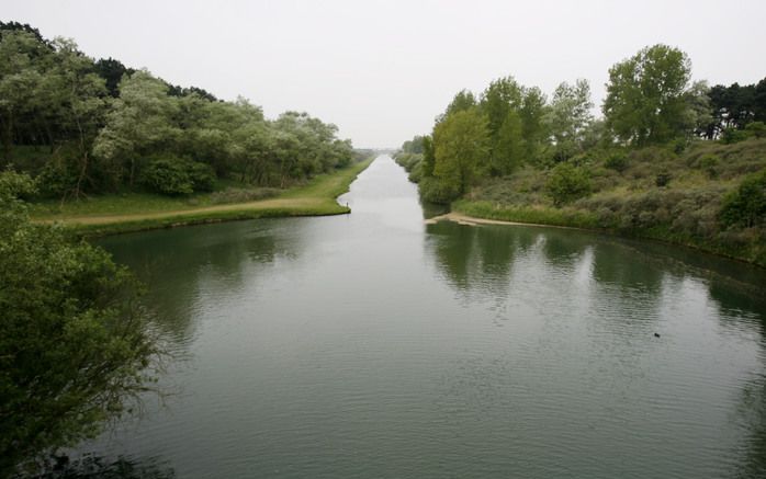 DEN HAAG - Damherten uit de Amsterdamse Waterleidingduinen mogen worden afgeschoten. Foto ANP