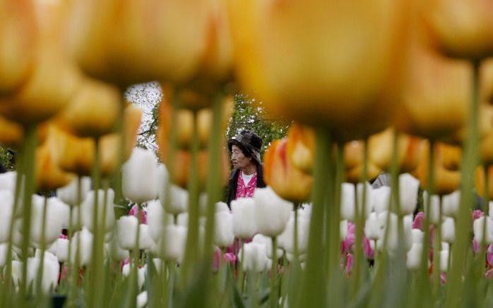 Keukenhof in 't klein op Schiphol. Foto ANP