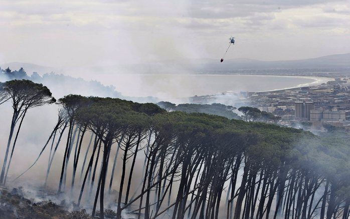 KAAPSTAD - Een 29-jarige Nederlandse is in het weekeinde om het leven gekomen toen ze bij de afdaling van de Tafelberg bij Kaapstad in Zuid-Afrika ten val kwam. Foto: EPA