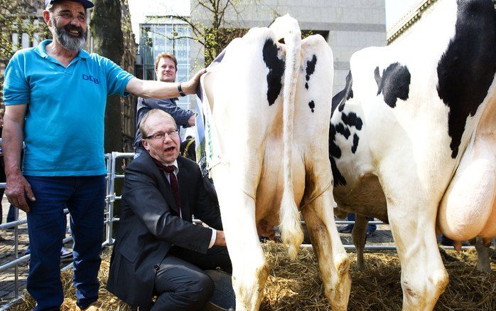 DEN HAAG - Melkveehouders voeren voor de Tweede Kamer actie tegen de lage melkprijs. Foto ANP