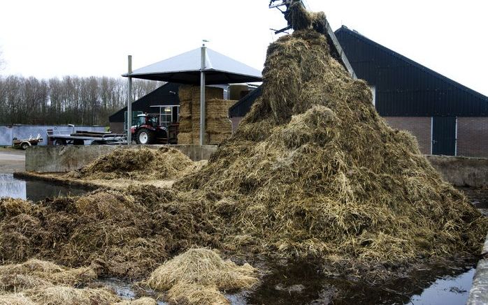 DEN HAAG - Mest achter een biologische boerderij in het Noord-Hollandse Spaarnwoude. Foto ANP