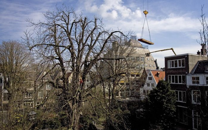 NEW YORK (ANP) – Het Anne Frank Center USA in New York wil tien stekjes van de Anne Frankboom. Foto ANP