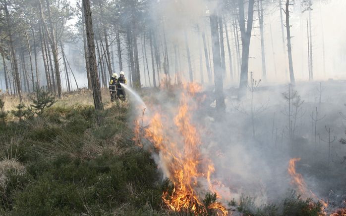 APELDOORN – Vooral in heidegebieden is momenteel gevaar voor natuurbranden. Foto ANP