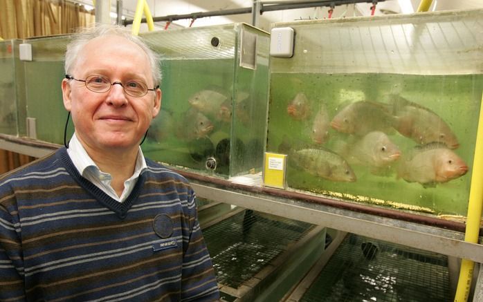 De leerstoelgroep van prof. dr. Johan Verreth onderzoekt onder meer het effect van visvoer waarin landplanten zijn verwerkt op het darmkanaal van de vis. Foto’s RD, Anton Dommerholt