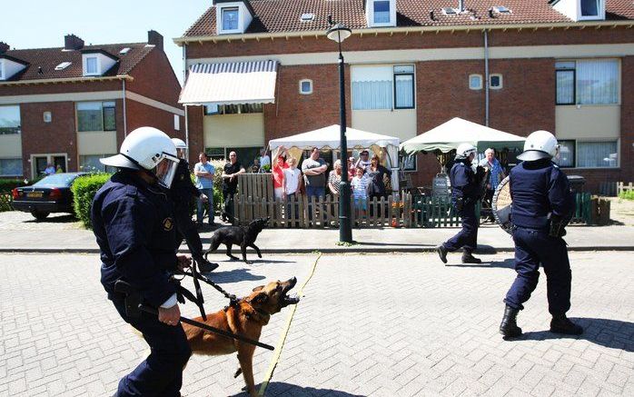 DEN BOSCH - Leden van de mobiele eenheid patrouilleren zaterdag met honden door de straten van Den Bosch. Foto ANP