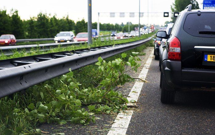 DELFT - Op de A13 ligt dinsdagochtend een tak op het wegdek. Het verkeer op de A13 was vastgelopen als gevolg van het noodweer - Foto. ANP