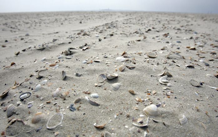 SINT PHILIPSLAND – De kwaliteit van het strandje bij het Zeeuwse Sint Philipsland is na het opspuiten van nieuw zand niet verbeterd. Foto ANP