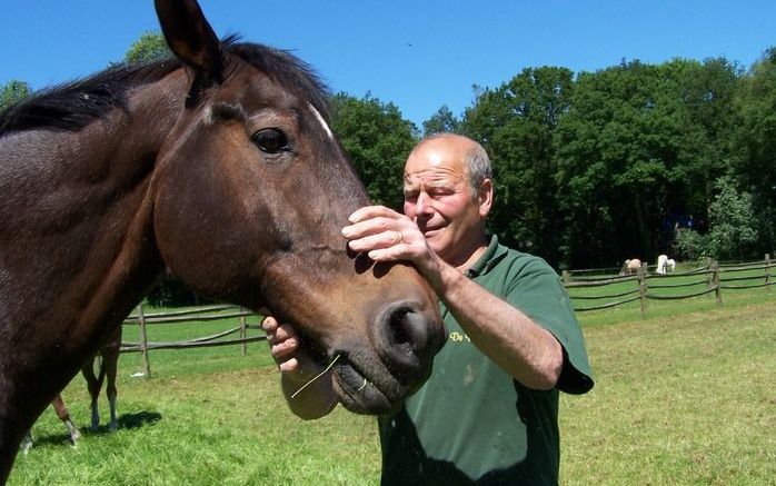 Beheerder Reinier Van Valkenhoef met voormalig KLPD-paard Fortuin. Hij is het eerste politiepaard sinds dertig jaar voor De Paardenkamp. Foto RD