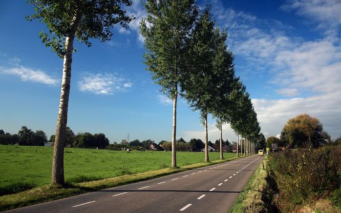 ACHTERBERG – Veenendaal wil bouwen in het gebied tussen Veenendaal, Rhenen, Wageningen en Ede, ook wel het Binnenveld genoemd. Bewoners van het gebied zijn daar fel op tegen. Foto ANP